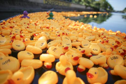 cursa de ratuste in scop caritabil la podul olt 684033edc528e