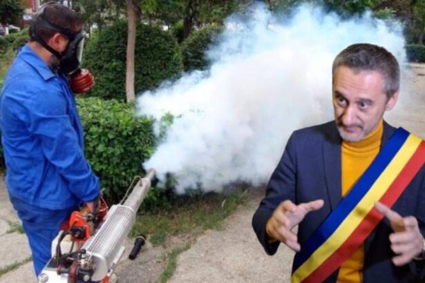 de mezzo pregateste o noua scumpire in slatina primaria vrea sa majoreze tarifele pentru dezinsectie deratizare si tratamente fitosanitare 684fdc66c79bf