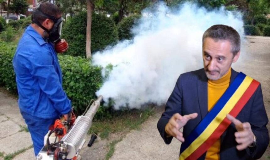 de mezzo pregateste o noua scumpire in slatina primaria vrea sa majoreze tarifele pentru dezinsectie deratizare si tratamente fitosanitare 684fdc66c79bf