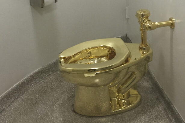 doi barbati au fost condamnati la inchisoare in marea britanie pentru furtul unei toalete de aur valoarea estimata a operei de arta 684d0f5d38b52