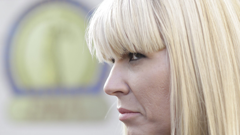 elena udrea cere eliberarea conditionata din inchisoare 684948965f2f8