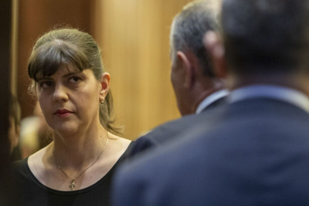 exclusiv frauda cu tva este una dintre cele mai atractive activitati criminale din europa kovesi avem situatii in care se comanda omoruri 684c52af30d22