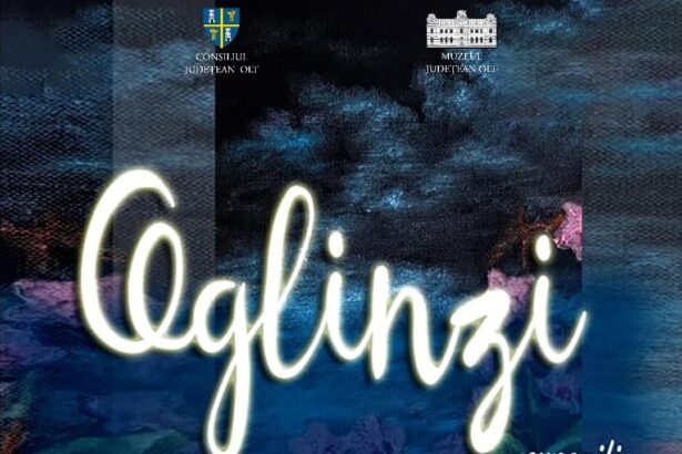 expozitia de pictura oglinzi la galeria artis din slatina 683d649cce86a