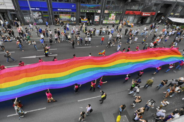 extrema dreapta foloseste drepturile lgbtq ca arma in europa pentru a semana disensiune spun activistii 683c473faa9b1