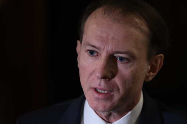 florin citu pnl trebuie sa paraseasca urgent negocierile daca se discuta despre cresterea taxelor 684adbb1971d1