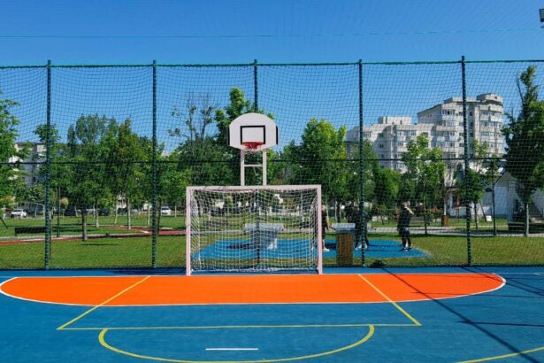 fotbal baschet sau gluma scumpa ce sport a inventat primaria slatina in parcul tineretului 683edef9e423f