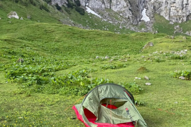 foto cainele unei familii cu doi copii care campa la munte in zona malaiesti a alungat un urs animalul atras de mirosul de mancare 68457996e8908