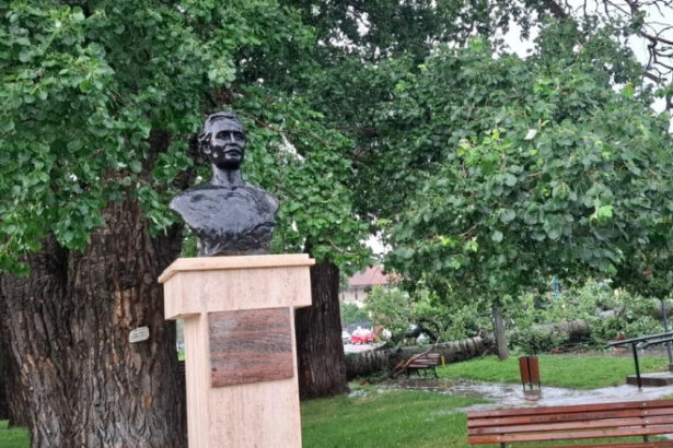 foto unul dintre copacii care l au inspirat pe mihai eminescu a cazut in iasi interventie de urgenta a isu 6849ad5977e28