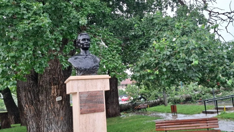 foto unul dintre copacii care l au inspirat pe mihai eminescu a cazut in iasi interventie de urgenta a isu 6849ad5977e28