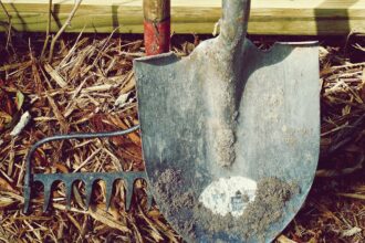 intretinerea corecta a uneltelor de gradina 7 sfaturi esentiale pentru o gradina fericita 68404b927b2b9