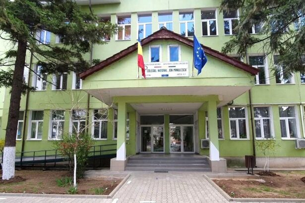 ion minulescu slatina mihai viteazul caracal si radu greceanu slatina in topul liceelor cu cea mai mare promovabilitate a bacalaureatului 6862a18647ae3