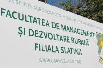 la facultate intre un final si un inceput 684c123b95b9e