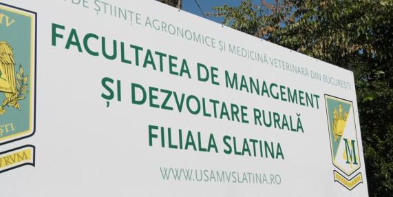 la facultate intre un final si un inceput 684c123b95b9e