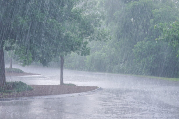 mesaj ro alert in bucuresti cod portocaliu avertizare nowcasting de vijelie traficul aerian a fost perturbat de furtuna 6846d952d3ba1