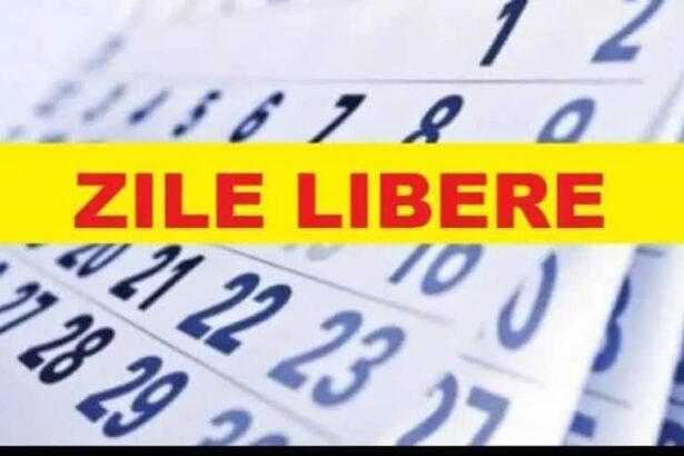 minivacanta de rusalii elevii si profesorii liber si joi 683f0085e0b23