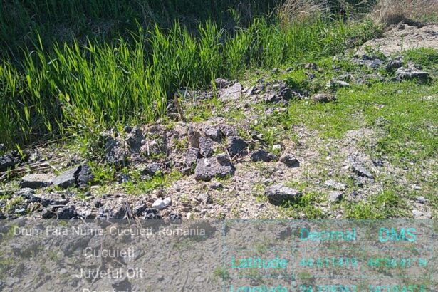 moloz si asfalt depozitate ilegal pe malul oltului garda de mediu sesizeaza parchetul 684bfe448a8ec