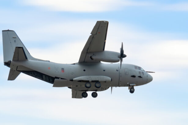 nicusor dan s a dus la vilnius cu un avion spartan al fortelor aeriene romane ce aeronave folosesc celelalte delegatii 683d62dfcf244