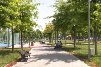 parcul tineretului refugiu pe timp de canicula 6853f8a67fad8