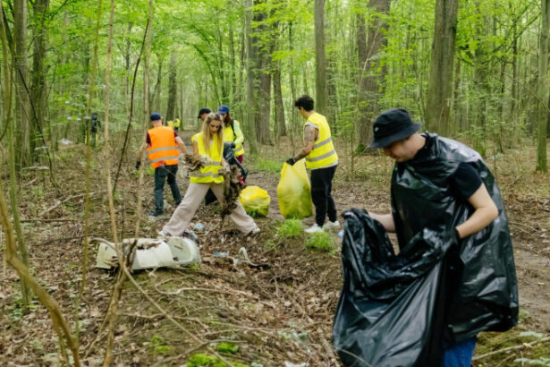 peste 15 tone de deseuri colectate in cadrul campaniei de ecologizare a bat romania in padurea plopeni judetul prahova 68626f320bcd7