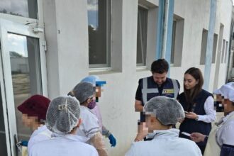 politistii de la imigrari pe urmele brutarilor vietnamezi vezi ce au constatat 683db868893ae