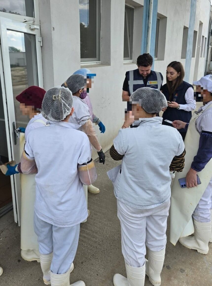 politistii de la imigrari pe urmele brutarilor vietnamezi vezi ce au constatat 683db868893ae