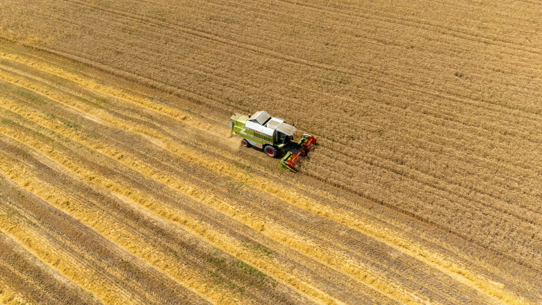 preturile mondiale la alimente au scazut in luna mai in urma ieftinirii cerealelor zaharului si uleiului 6842d6925c22b