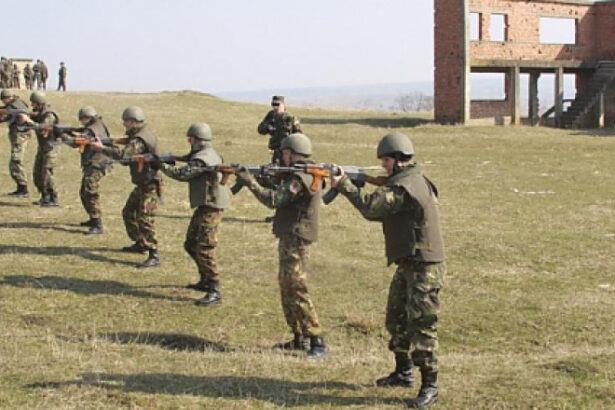 regele felipe al spaniei si nicusor dan sunt asteptati la centrul de instruire intrunita de la cincu care gazduieste exercitii nato 6847c4b7e8ad1