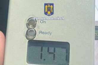 soferi bauti la volan 6841912253bef