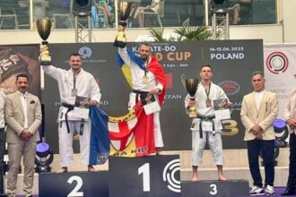 stefan ionica aur si argint international 6852c6d45090b