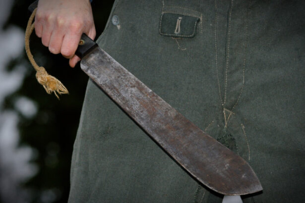 un fost mercenar care a lucrat cu horatiu potra in congo a fost trimis in judecata pentru proxenetism si tentativa la omor 68499840a9d3c