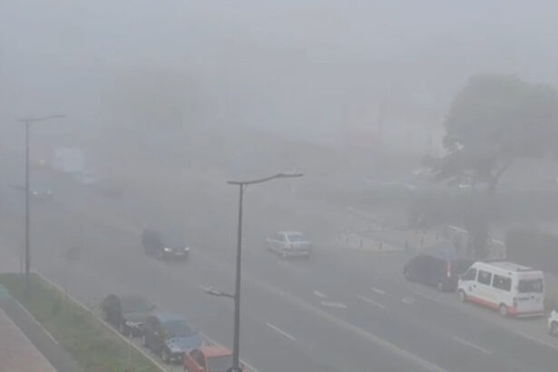 video alerta meteo pe litoral cod galben de ceata au fost impuse restrictii in porturile constanta nord si sud agigea 68428370a4b0f