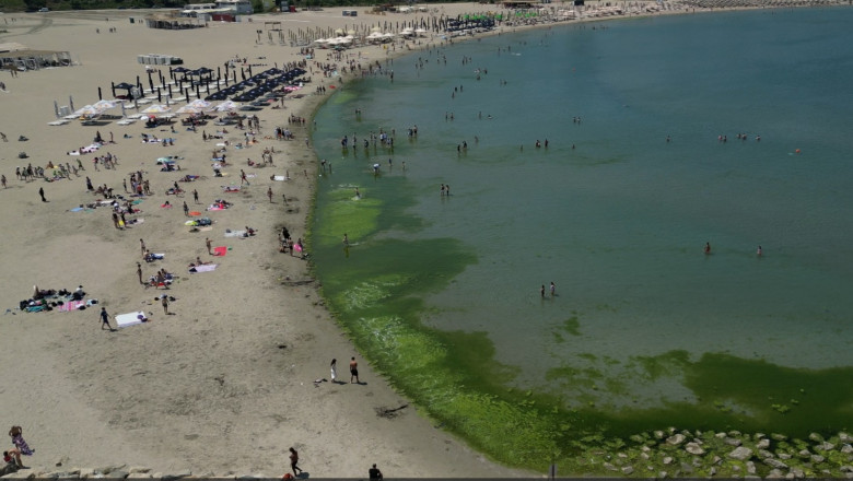 video covor de alge pe litoral la inceput de sezon cum explica specialistii fenomenul intalnit de regula spre finalul verii 6842686d12173