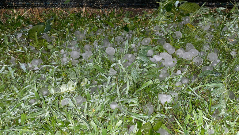 video grindina a facut prapad in localitatile afectate de codul rosu de furtuni culturi agricole si gradini distruse 6840697b3b1b6