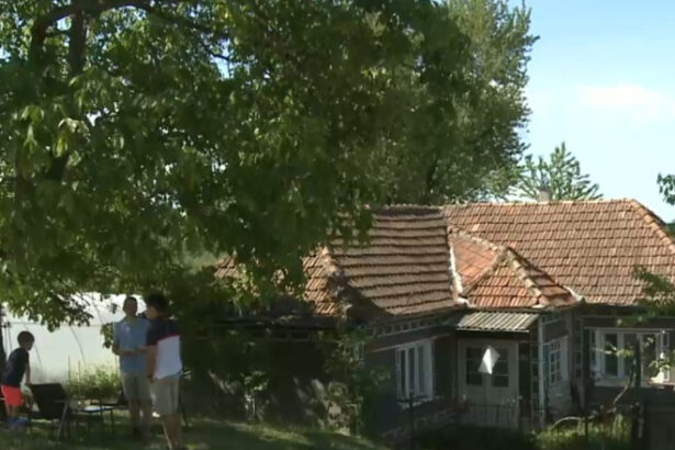 video inteligenta artificiala supusa la teste de catre satenii romani reactiile celor din mediul rural la raspunsurile ai 6849a8c53299e