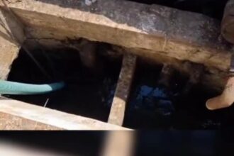 video interventie de cinci ore a pompierilor olteni pentru salvarea unui cal cazut intr un canal 6855a30b49d99