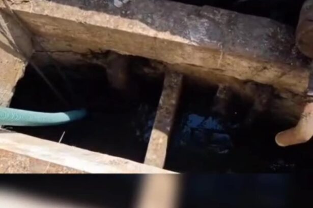 video interventie de cinci ore a pompierilor olteni pentru salvarea unui cal cazut intr un canal 6855a30b49d99