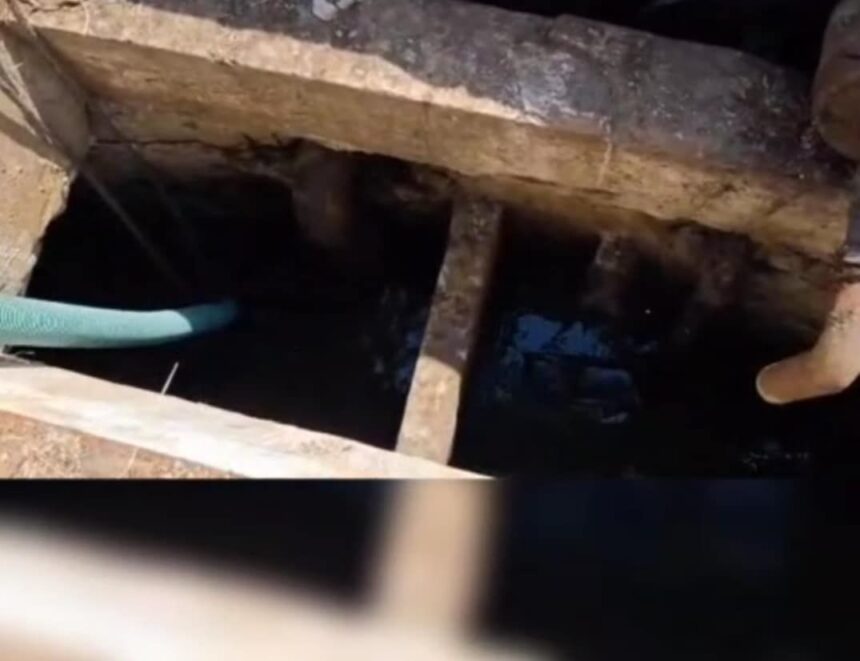 video interventie de cinci ore a pompierilor olteni pentru salvarea unui cal cazut intr un canal 6855a30b49d99