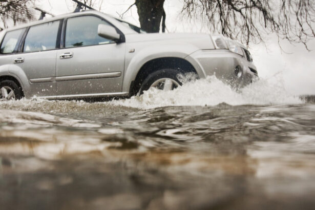 video solutii cu bani europeni in fata inundatiilor proiect pilot implementat pe raul timis pentru a scadea riscul de revarsare a apelor 6841170970bcc