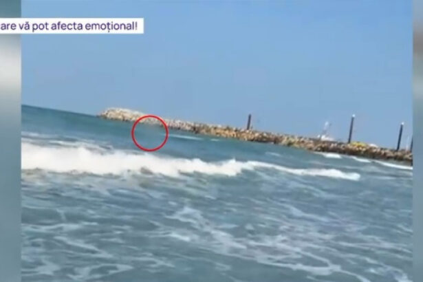 video tragedie evitata la limita cum a fost salvata de la moarte tanara abandonata de iubit in mijlocul valurilor la costinesti 684992651f7bb