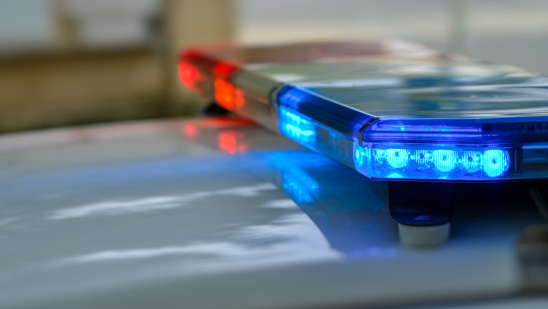 zeci de stampile si sute de matrite cu insemne oficiale descoperite la suspecti de camatarie si fals in cluj trei barbati retinuti 6842bf2494a1a