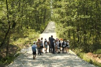 ziua mediului traita in natura 6842dc9295b25