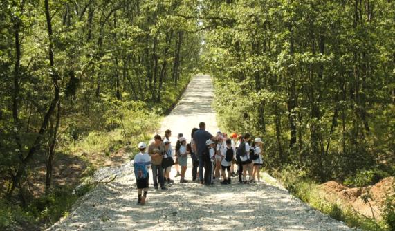 ziua mediului traita in natura 6842dc9295b25