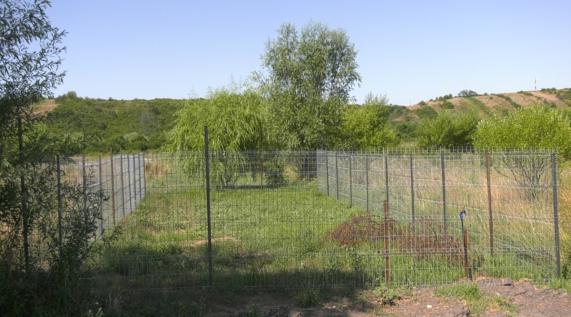 adapost pentru cainii abandonati 6867d31508353