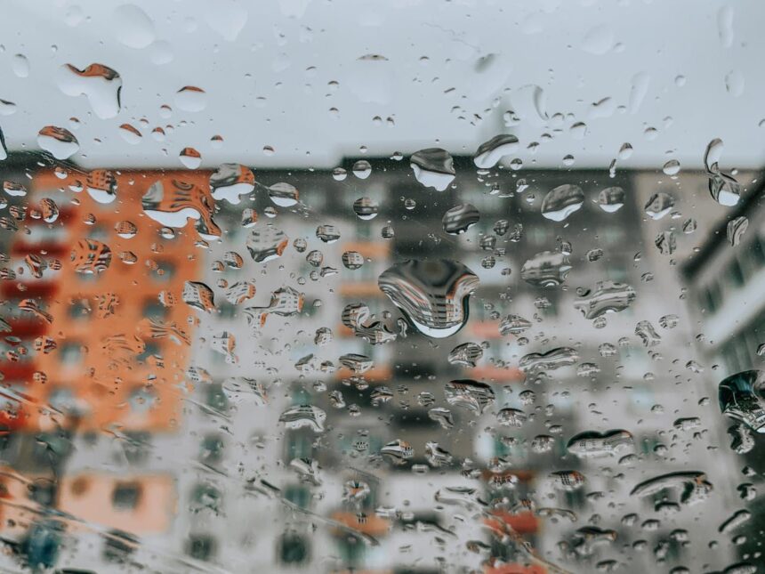 care este capacitatea dezumidificatorului de care ai nevoie sfaturi pentru o alegere inteligenta 6889bda1ed86b