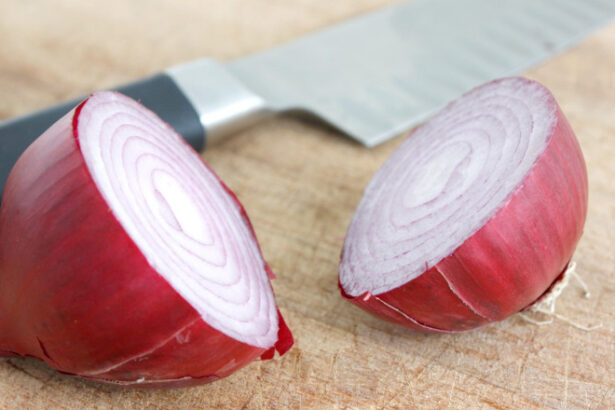 ceapa de buzau bot de vulpe soi pierdut si recuperat din sua a fost inscris in catalogul european 6864eb8132eec 3