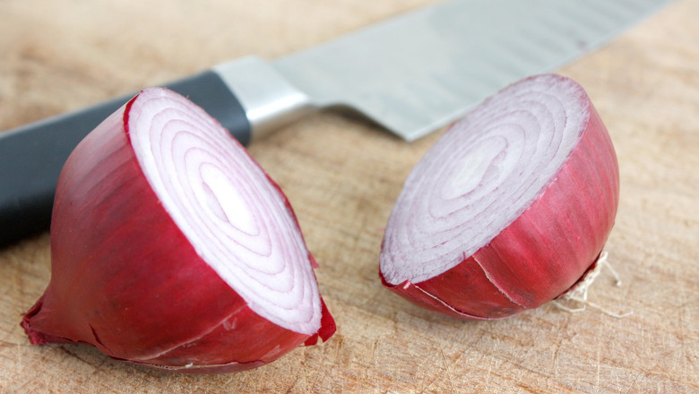 ceapa de buzau bot de vulpe soi pierdut si recuperat din sua a fost inscris in catalogul european 6864eb8132eec 3