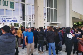 cu sprijinul ajofm olt peste 1 500 de persoane si au gasit o slujba 686c195388235