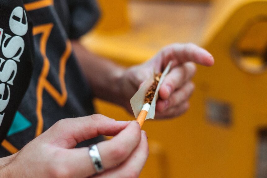 cum sa alegi accesoriile potrivite pentru fumatul de tutun rulat 6878dc8177e77