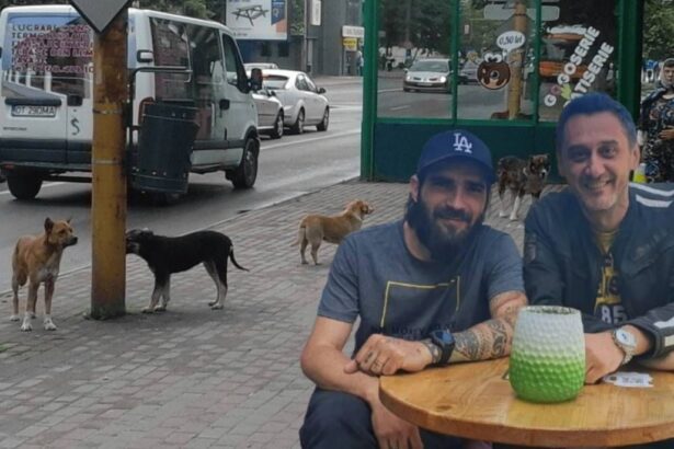 de mezzo da serviciul de ecarisaj prietenului balan dus va prinde cainii fara stapan din slatina 68886f849d6b3