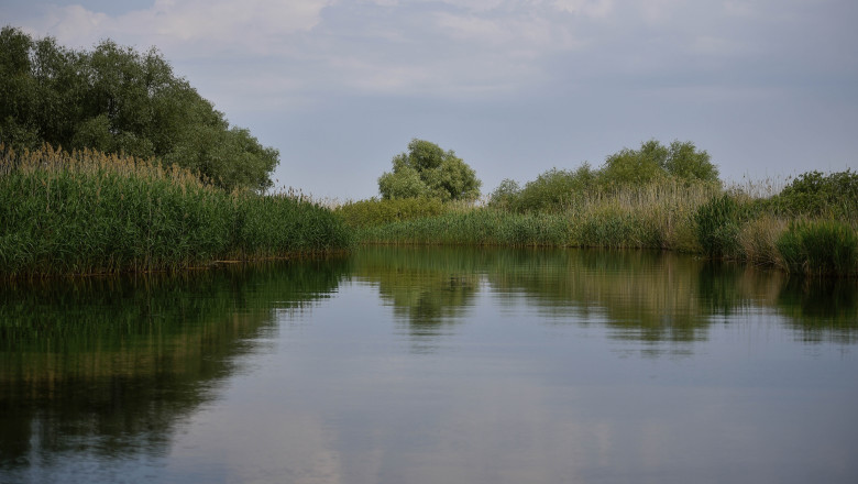 doi copii loviti de un ski jet in apele dunarii barbatul care il conducea consumase alcool iar politia a dechis o ancheta 687bcd00f2b36